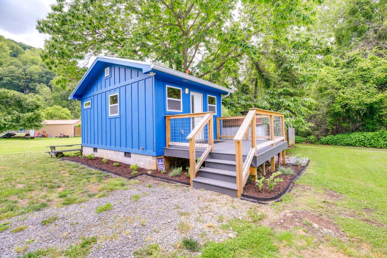 Cozy Hikers Hideaway Steps From Creeper Trail! Lejlighed Damascus Eksteriør billede